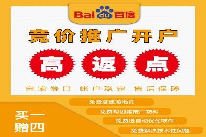 深度解析：百度推广代理的运营策略与效果
